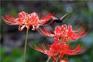 《相对湿度》可有可无txt