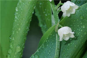 柳汐裴煜宁(禁欲物理女教授)全文免费阅读