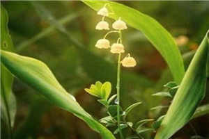 韫色过浓肉49到54补肉部分