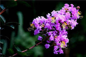 《相对湿度》可有可无txt