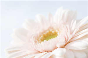 海天教育名家讲坛正式开讲 首场讲座圆满举办