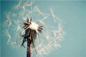 柳汐裴煜宁小说免费全文阅读笔趣阁