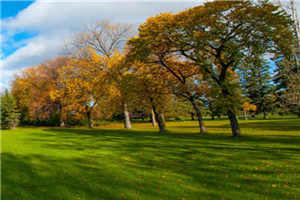 重构红色经典IP,《铁道英雄》