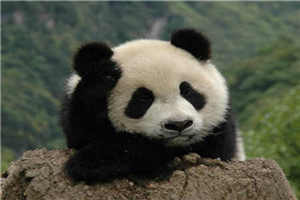 撩妻日常1v1青灯