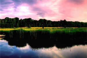 当代爱情刘雪按摩全文阅读