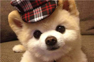 柳汐裴煜宁 全文免费阅读