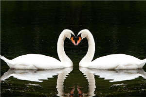 错过一切，错不过你