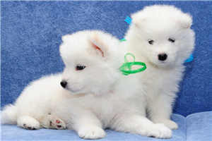 柳汐裴煜宁小说免费全文阅读笔趣阁