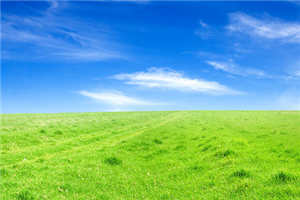 傅慎言和温苒小说